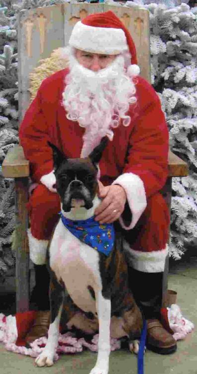 Lola & Santa