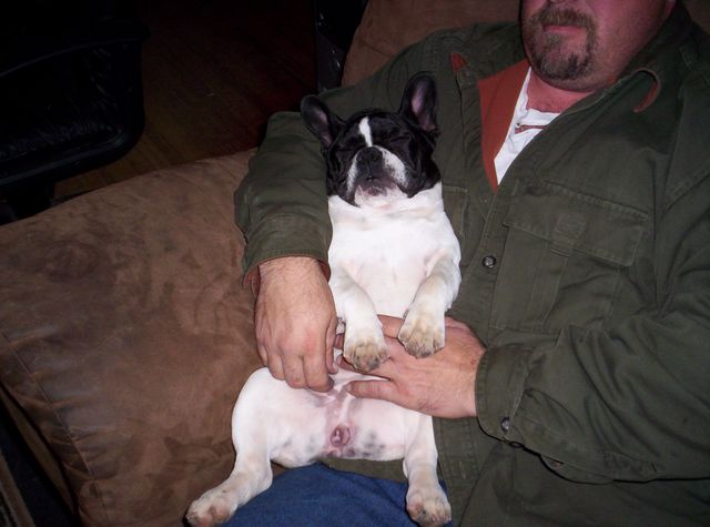Lola snoring