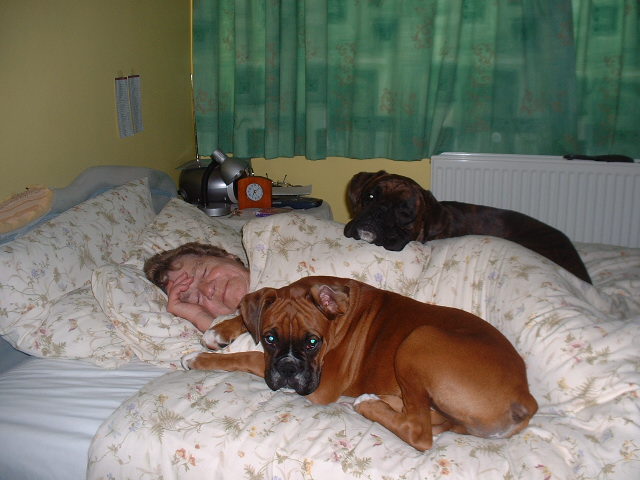 Lola, Zeb and mum