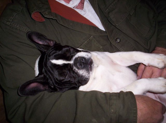 Lola