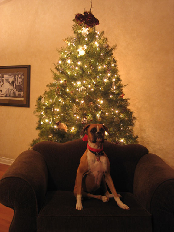 lolaxmas