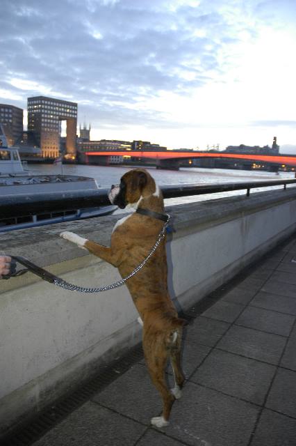 London Bridge