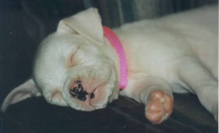 Long first day at new home!