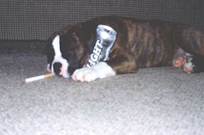 long night