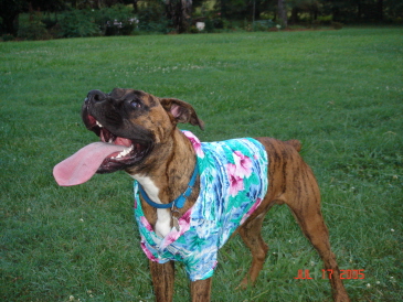 Long Tongue!