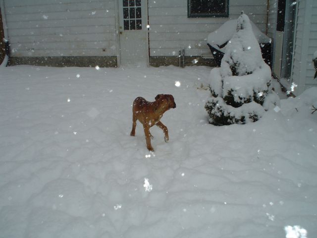 Look at all this Snow!!