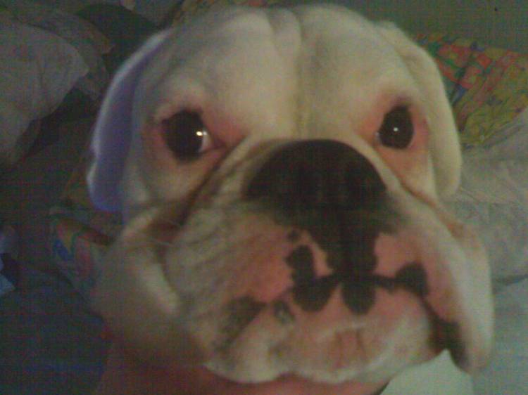 Look at how pink i am!