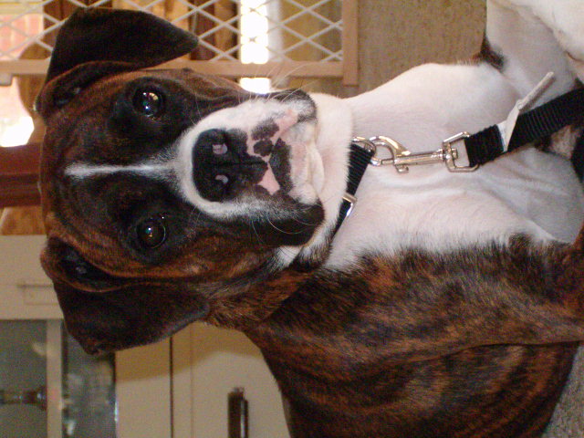 Look at me! I'm soooo pretty! :)