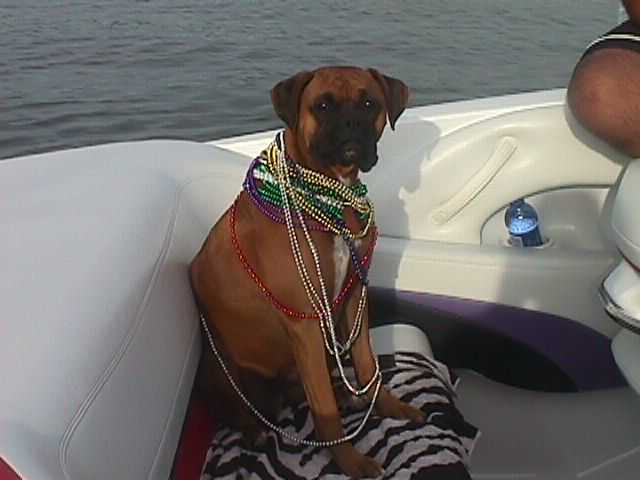Look at my baby!