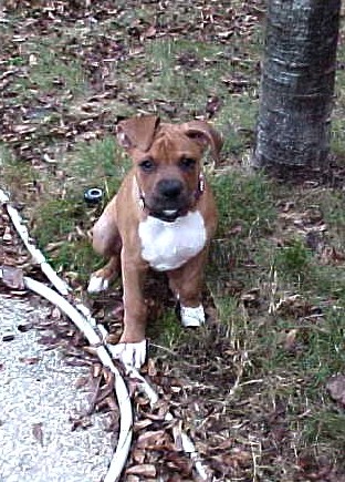 Look at my goofy ears