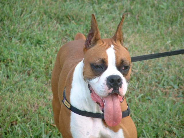 Look at my tongue momma!