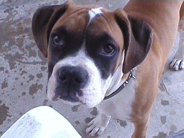 Look at that baby face - 18 weeks