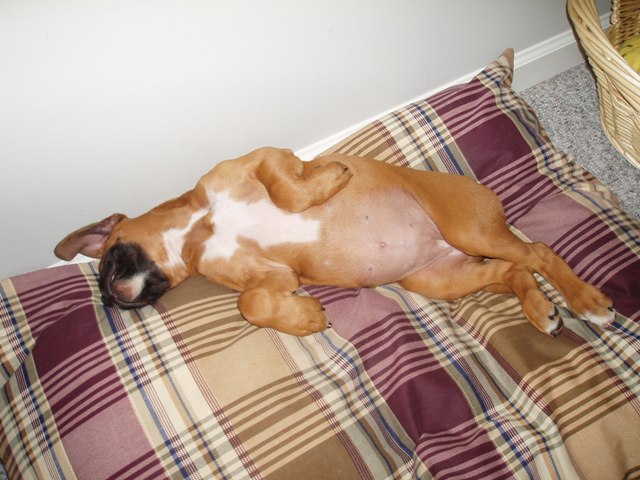 Look at that belly!!