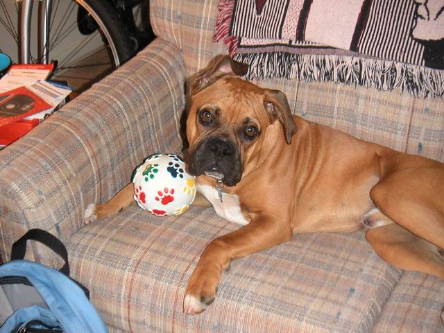 Look at that face....