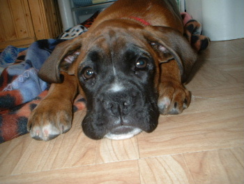 look at that face