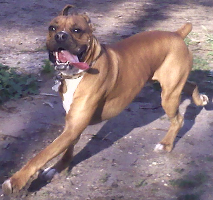 Look at that face!!!!