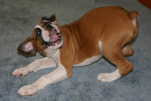 look at that mush-face