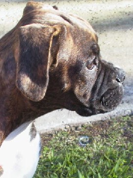 Look at that profile