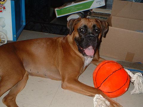 look at that smile!