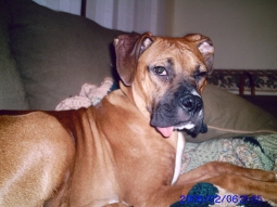 Look at that tongue