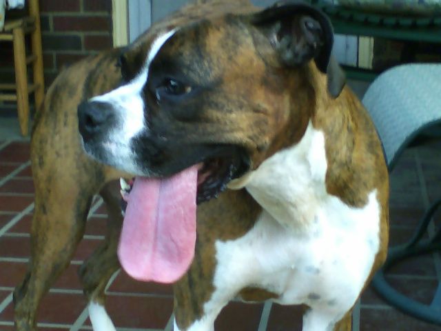 look at that tounge