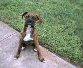Look at the camera!
