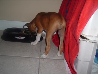 Look at the cute little booty!