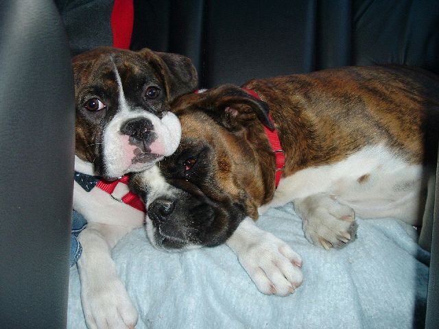 Look at these sweet girls