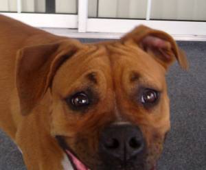 Look at those EYES!!