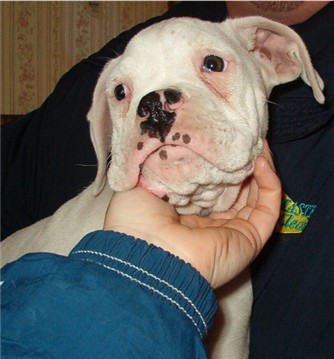 Look at those sad eyes!