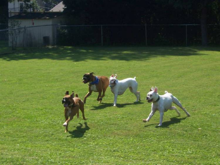Look at us go...