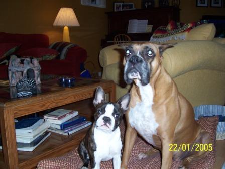 look at us!