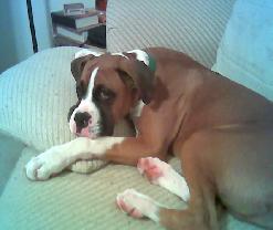 Look how big he has gotten
