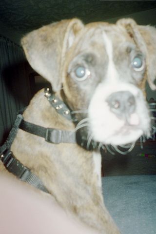 Look how cute I am!