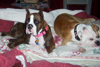 Look......I'm ready for bed