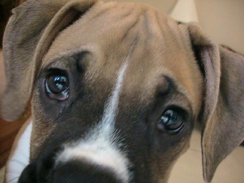 Look into my eyes...