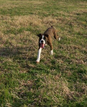 look mom!! i'm coming!