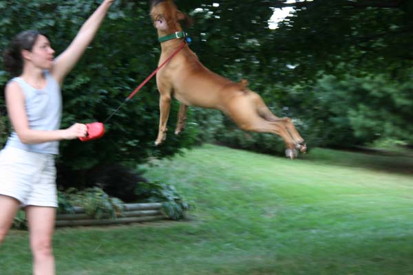 Look mom, I'm flying!!