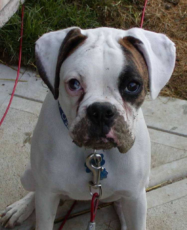 Look mom....my nose is a shovel!