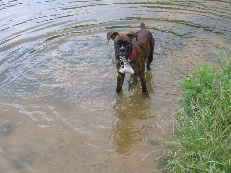 Look mum Im in the water