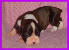 Look my back legs work!