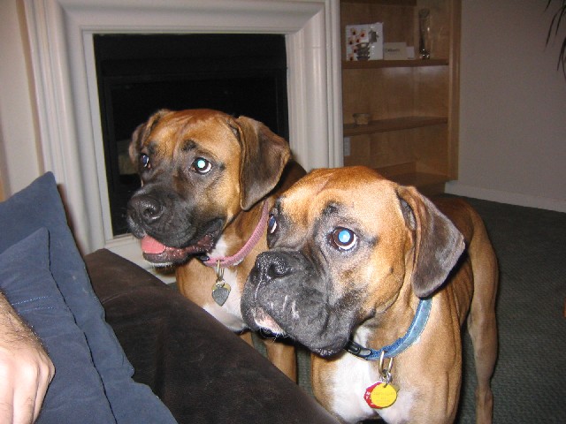 Look Who's Getting Along!