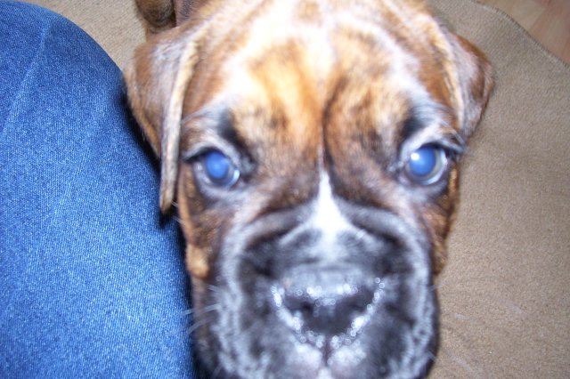 look
