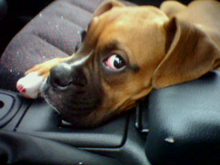 Lookin at my Eye Aintchya?