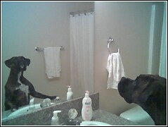 Looking at herself in the mirror