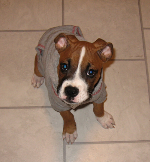 Looking cute in the kitchen