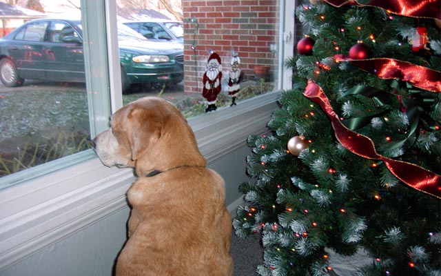 Looking for Santa
