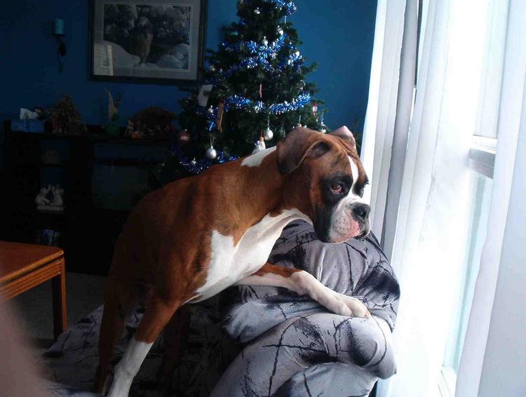 looking for that cat!