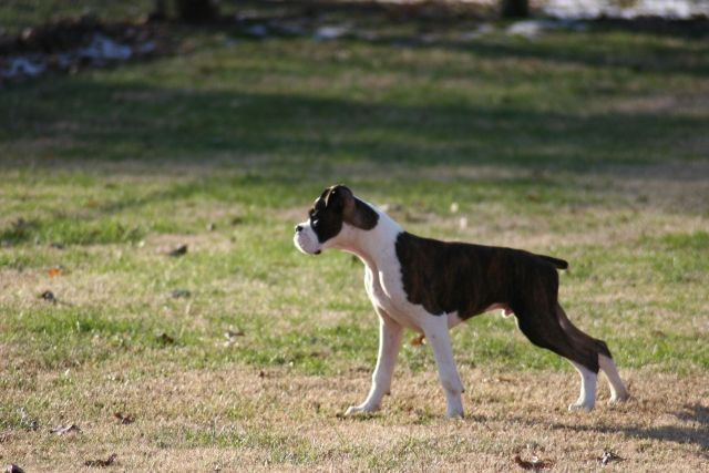 Looking for trouble.