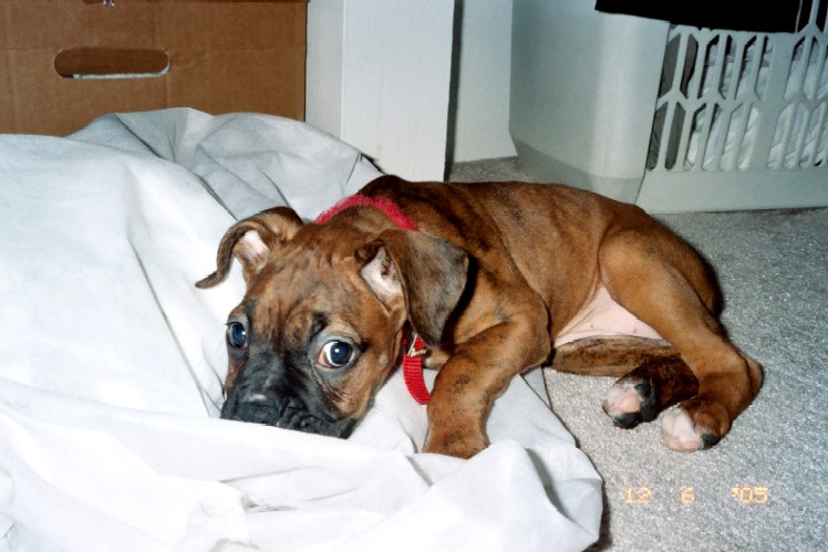 Looking Guilty!!!!